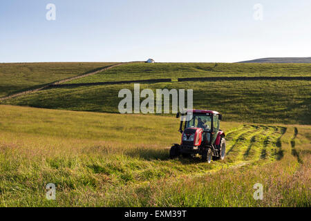 Bowlees, Upper Teesdale, comté de Durham. Mercredi 15 juillet 2015, UK Weather. Dans les prairies de fauche des fermes traditionnelles de coupe d'herbe est retardé jusqu'au milieu du mois de juillet afin de permettre à la flore autochtone et les herbes pour produire des graines. Avec plus de temps chaud et sec prévu pour les prochains jours, les agriculteurs locaux ont été sortis tôt ce matin pour commencer à faire leur foin. Crédit : David Forster/Alamy Live News Banque D'Images