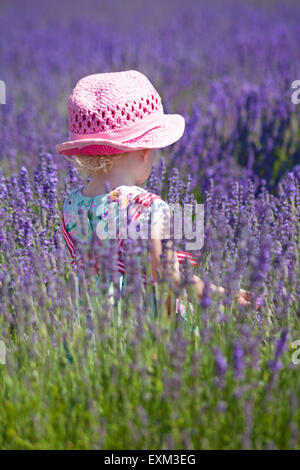 La jeune fille aime la lavande lors d'une journée portes ouvertes à la ferme de Lordington Lavender, Lordington, Chichester, West Sussex, Royaume-Uni en juillet Banque D'Images