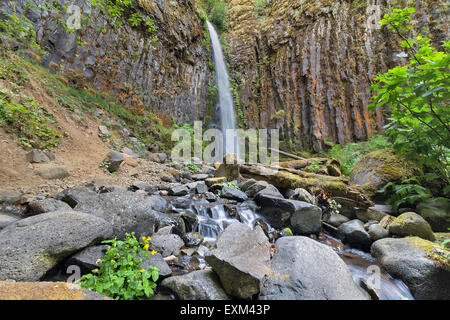 Dry Creek Falls le long de Pacific Crest Trail dans la gorge de la rivière Columbia dans l'Oregon panoramique sur la Forêt Nationale Banque D'Images