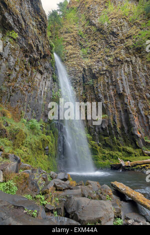 Dry Creek Falls le long de Pacific Crest Trail Dans la région de Columbia River Gorge National Scenic forêt dans l'Oregon à la verticale Banque D'Images