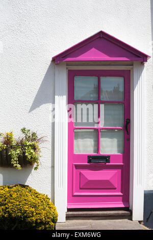 La moitié rose Porte avant vitrée à Riverside cottage mitoyennes à Romsey, Hampshire, Royaume-Uni en juillet Banque D'Images