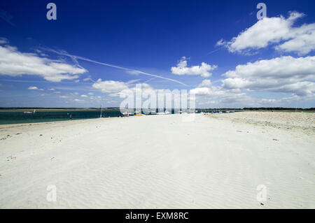 À côté de la mer - East West Wittering, tête Banque D'Images