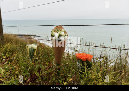 Brighton UK Mercredi 15 juillet 2015 - Des fleurs par des amis en haut de falaises Ovingdean juste à l'est de Brighton près de l'endroit où le musicien Nick Cave fils Arthur (15) est passé de et est décédé le mardi Banque D'Images