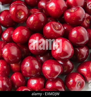 Bol d cerries frais rouge sur fond blanc Banque D'Images