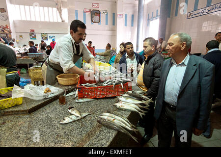 TANGER MAROC Banque D'Images