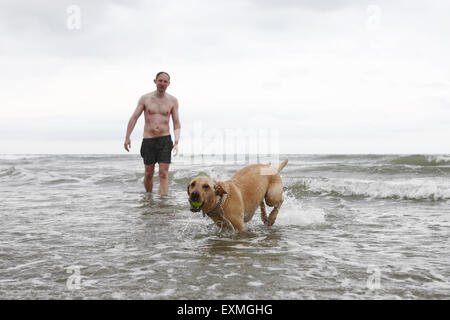 Yellow Labrador Retriever chiot âgé de 14 mois d'apprendre à nager dans la mer à Brighton, Royaume-Uni Banque D'Images