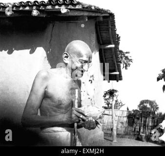 Mahatma Gandhi recevoir une noix de coco devant sa hutte à l'Ashram Sevagram ; Janvier 1942 PAS DE MR Banque D'Images