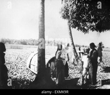 Mahatma Gandhi ; accompagné d'Abha Gandhi laissant un bateau lors de sa visite dans la région de Noakhali émeute effectuée East Bengal Banque D'Images