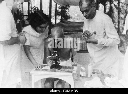 Mahatma Gandhi l'examen au microscope des cellules de l'ankylostomiase à Juhu Beach Bombay Inde Mai 1944 Banque D'Images