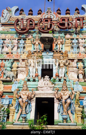 Temple Kapaleeswarar Temple Temple goporam, Chennai, Inde Banque D'Images