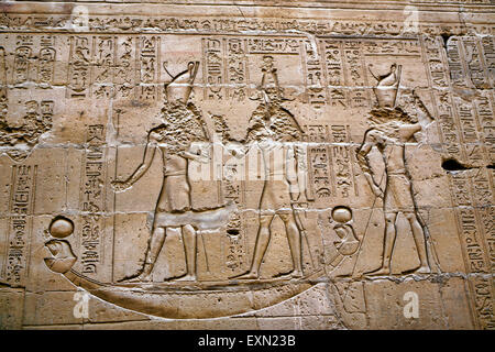 Les sculptures sur les murs anciens trouvés dans le temple de Idfu en Égypte. Banque D'Images