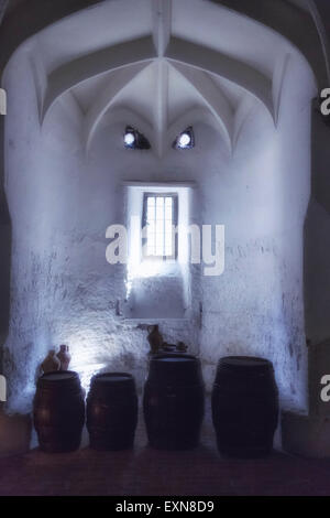 Une ancienne cave à vin avec tuns Banque D'Images