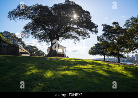 Observatory Hill, Sydney, Australie Banque D'Images