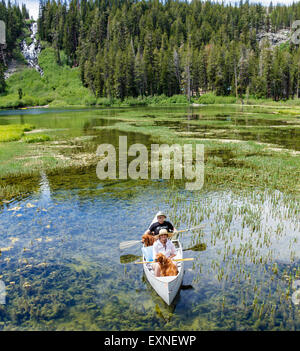 Couple partager canoë avec les chiens dans les lacs Twin dans la région de Mammoth Lakes Basin dans l'Est de la Sierra Banque D'Images