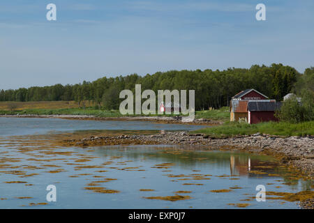 Plage de galets et les hangars à bateaux en Norvège Banque D'Images