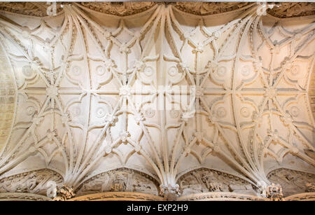 Cordoue, Espagne - 28 MAI 2015 : La voûte gothique de la nef latérale de la cathédrale. Banque D'Images