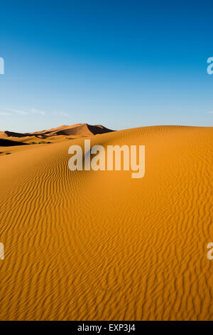 Dunes de sable dans la lumière du matin, Merzouga, Maroc, région de Meknès-Tafilalet Banque D'Images