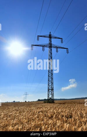 Ligne à haute tension, poteau électrique dans un champ de maïs contre un ciel bleu, en Rhénanie du Nord-Westphalie, Allemagne Banque D'Images