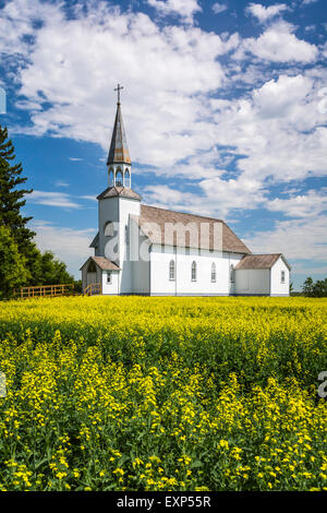 L'Hôpital Sainte-Anne. Thérèse Église catholique avec un champ de colza en fleurs au Cardinal, Manitoba, Canada. Banque D'Images