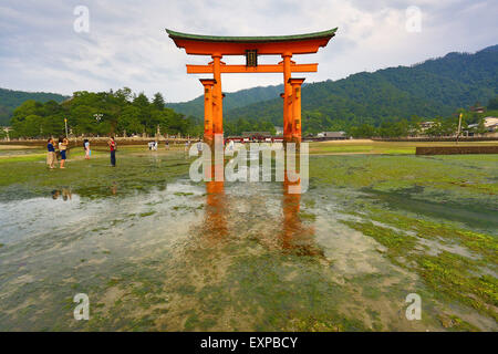 Le grand Torii rouge à marée basse au Sanctuaire Shinto d'Itsukushima sur l'île de Miyajima, Hiroshima, Japon Banque D'Images