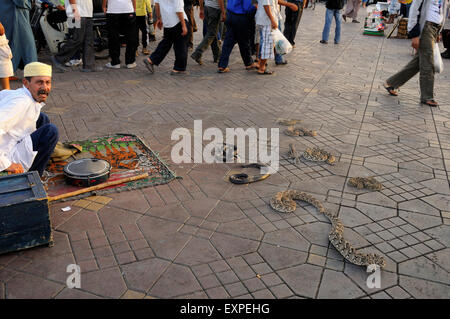 Les charmeurs de serpent à la place Jemaa el Fnaa à Marrakech. Banque D'Images