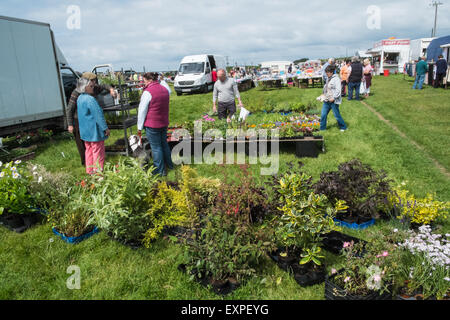 Clarach,location,vente,boot,dimanche,Ceredigion,brocante,vente,mi,Pays de Galles,Royaume-Uni. Banque D'Images