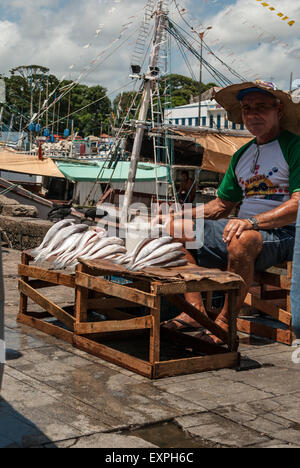 Belem, l'État de Para au Brésil. La vente du poisson à Ver-o-Peso market port. Banque D'Images