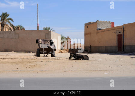 Cheval dans la rue de Taroudant. Banque D'Images