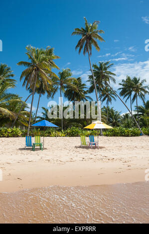 Praia do Forte, l'Etat de Bahia, Brésil. Palmiers, deux parasols, quatre chaises, plage. Banque D'Images