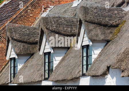 Vieux toits de chaume. Village Ludham Norfolk Broads Banque D'Images