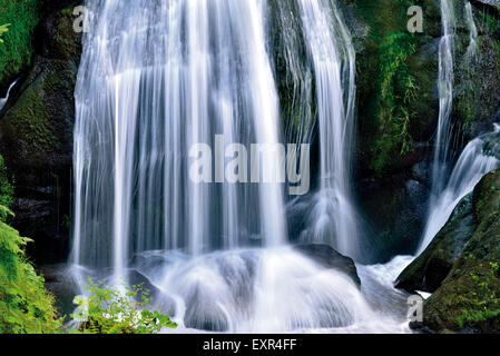 Allemagne, Forêt-Noire : Cascade de la cascade de Triberg Banque D'Images