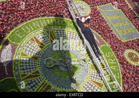 Edinburgh, Ecosse, Royaume-Uni. 16 juillet, 2015. L'horloge florale dans les jardins de Princes Street a été révélé aujourd'hui, qui fête cette année dix ans d'Edimbourg comme Ville UNESCO de la littérature. La célèbre horloge prend plus de cinq semaines pour créer et dispose d'un thème différent chaque année. Le premier a été planté en 1903 et au cours des années, elle a été inspiré par des thèmes tels que Robert Louis Stevenson, le centenaire de la décennie comme une ville du commerce équitable et de la reine Elizabeth II Coronation. Sur la photo : Gillian Denny, crédit 19 : Richard Dyson/Alamy Live News Banque D'Images