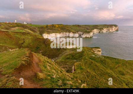La côte sauvage avec des falaises de craie et de flore que l'aube sur la mer du Nord à Flamborough Head. Banque D'Images