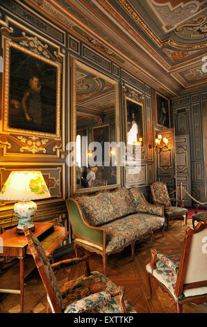 France, Vallée de la Loire, Cheverny, intérieur du château Banque D'Images