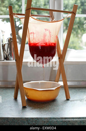 L'effort des fruits qui est adoucie par la cuisson, dans un sac de mousseline pour faire de gelée de fruits. Banque D'Images