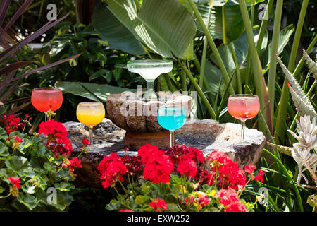 Diverses boissons Marguerite de couleur sur une fontaine décorée Banque D'Images