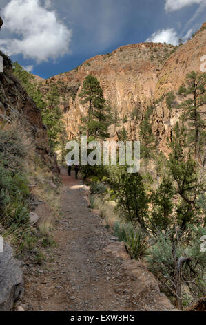 Sentier des chutes dans le Canyon Frijoles, Bandelier National Monument, Los Alamos, Nouveau Mexique Banque D'Images