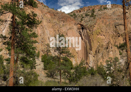 Falaises de tuf volcanique forment les murs de Frijoles Canyon dans le Bandelier National Monument, Los Alamos, Nouveau Mexique. Banque D'Images