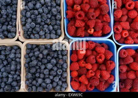 Cartouches de framboises et bleuets côte à côte à un marché de producteurs à Vancouver, BC, Canada Banque D'Images