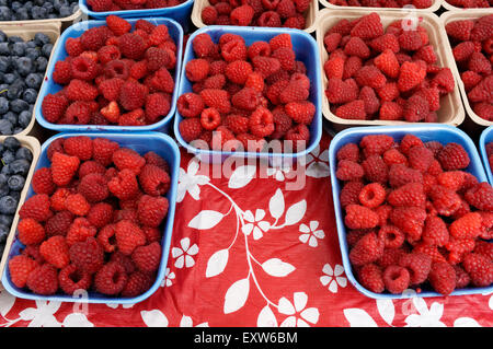 Cartouches de framboises et bleuets côte à côte à un marché de producteurs à Vancouver. BC, Canada Banque D'Images