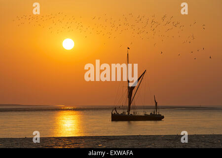 L'estuaire de Swale, Kent, UK. 17 Juillet 2015 : Météo France. Troupeau d'oiseaux au lever du soleil au-dessus de la Tamise barge à voile à la location ou la 'Orinoco' près de l'entrée de Faversham creek comme un autre été commence. L'Orinoco a été construit en 1895 et est l'un des seulement une poignée de navigabilité à Thames barges à gauche, et est disponible pour la location privée Crédit : Alan Payton/Alamy Live News Banque D'Images