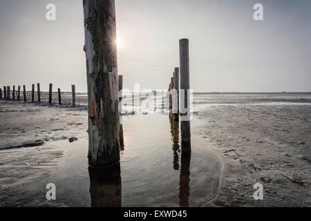 Poteaux de bois sur la plage de Sankt Peter-Ording, Schleswig-Holstein, Allemagne Banque D'Images