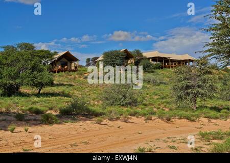 Polentswa Tented Camp, Kgalagadi Transfrontier Park, Kalahari, Afrique du Sud, Botsuana Banque D'Images