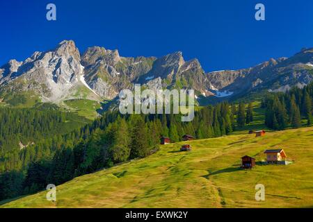 Pâturage d'altitude à l'Arlberg, Tyrol, Autriche Banque D'Images