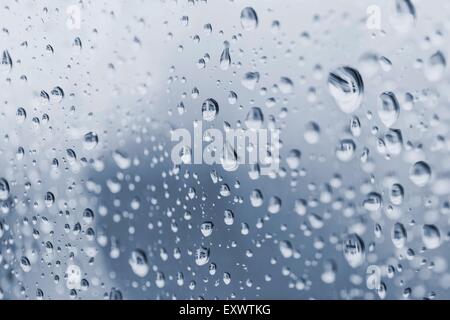 Gouttes de pluie sur un volet Banque D'Images