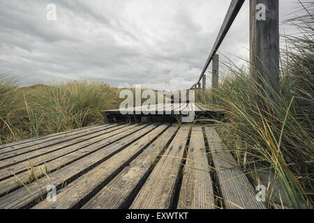 Promenade en bois à travers les dunes de Rantum, Sylt, Schleswig-Holstein, Allemagne Banque D'Images