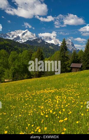 Pfeiffer, Alm, Wettersteingebirge Alpspitze, Bavaria, Germany, Europe Banque D'Images