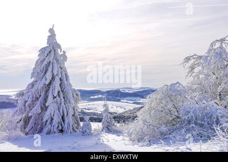 En hiver, Wasserkuppe Rhön, Hesse, Germany, Europe Banque D'Images