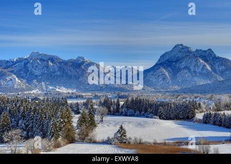 Château de Neuschwanstein, Alpes, Allgaeu, Bavaria, Germany, Europe Banque D'Images