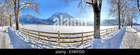 Château de Neuschwanstein, Alpes, Allgaeu, Bavaria, Germany, Europe Banque D'Images